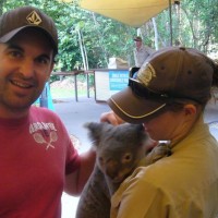 Cal saying hi to Mr Koala at Hartleys Crocodile Farm