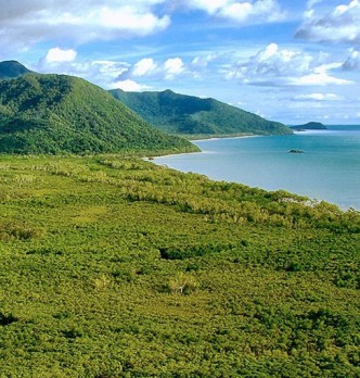 Cape Tribulation Tours