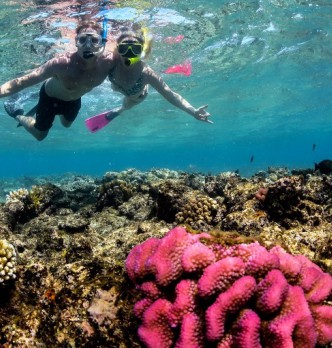 Snorkelling