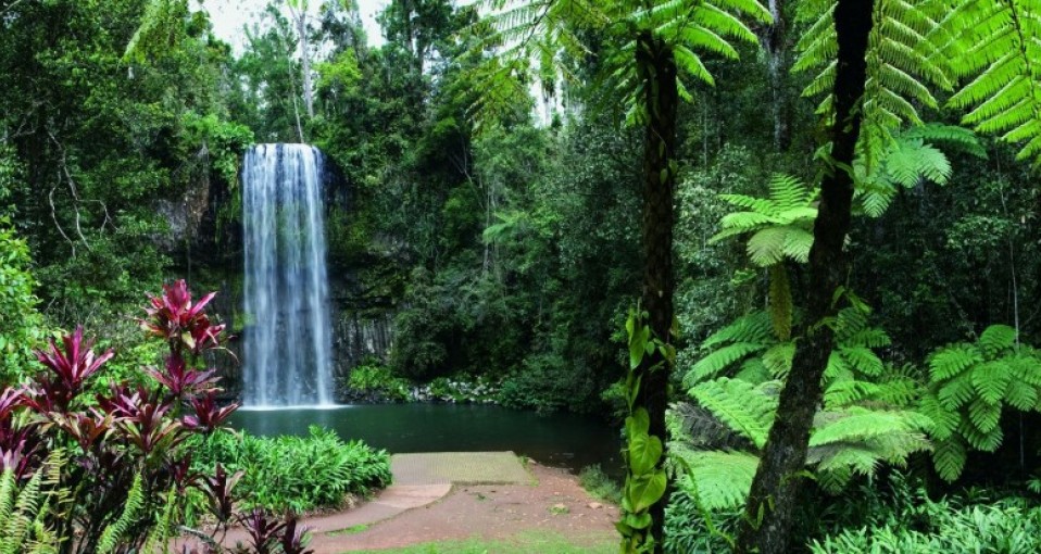 Tablelands Tours