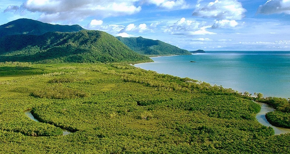 Cape Tribulation Tours