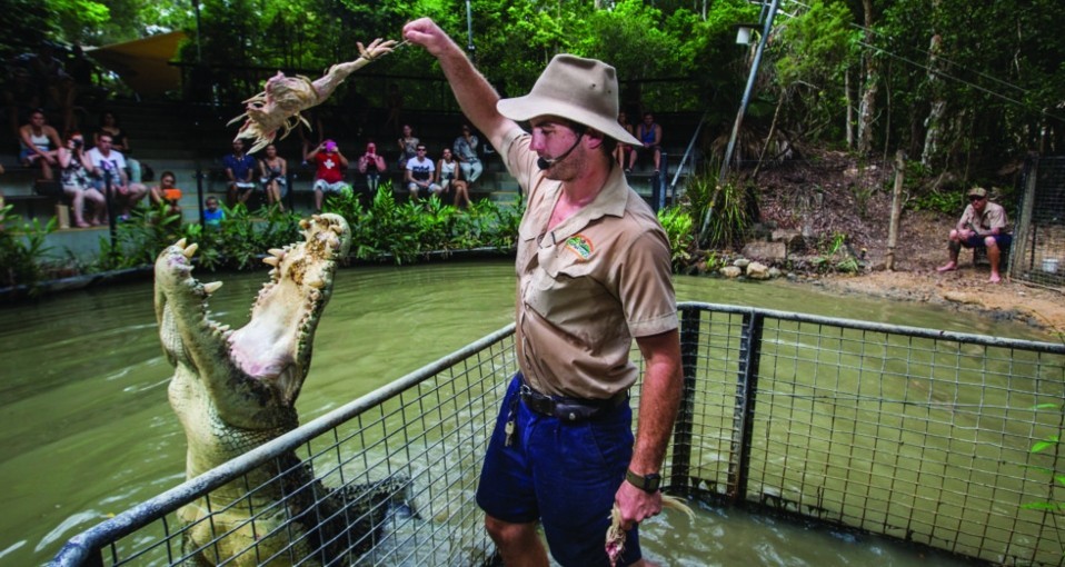 Crocodile Experiences