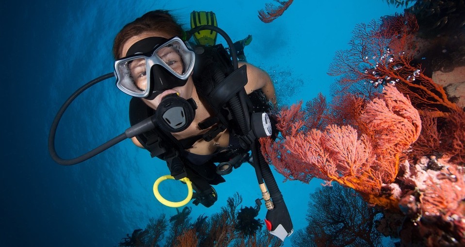 Learn to Dive Courses