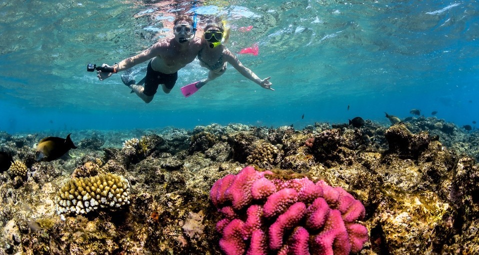 Snorkelling